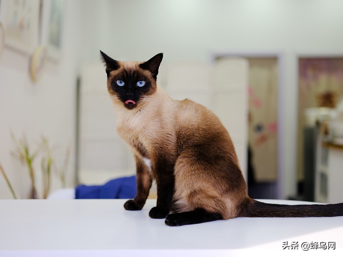 不一样的中画幅相机富士gfx50r,富士中画幅gfx50r测评