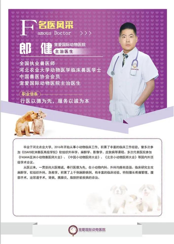 如果狗身上有虱子应该怎么办,如果狗狗身上有虫子怎么办