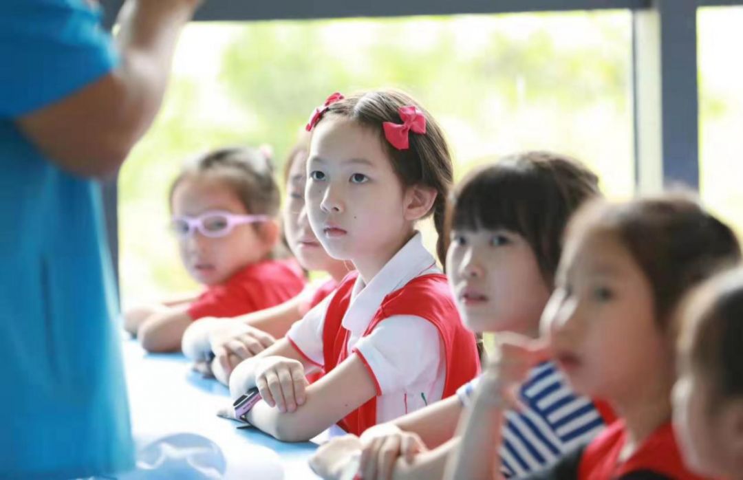 插上翅膀能飞起来,插上翅膀就起飞