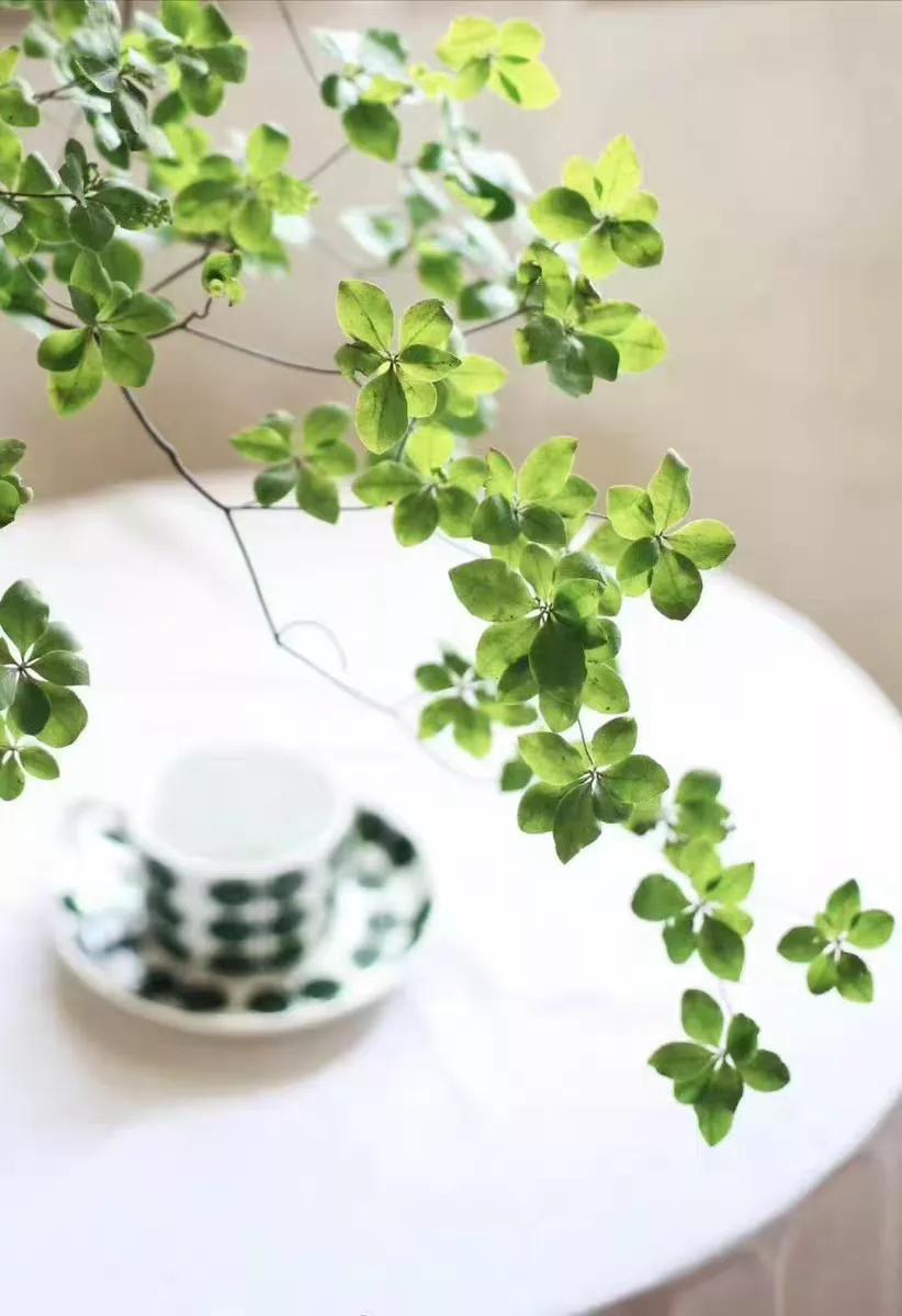 日本吊钟花：植物界的爱马仕