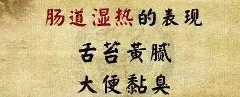 拉肚子和肝胆脾胰肾有关系吗,湿热拉肚子中医辨证