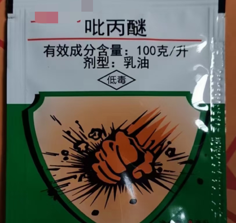 杀虫杀卵的红蜘蛛特效药,杀虫双治钻心虫效果如何
