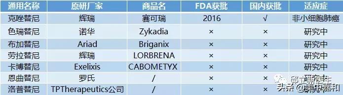 最全靶向药物汇总,靶向治疗和免疫治疗动画演示