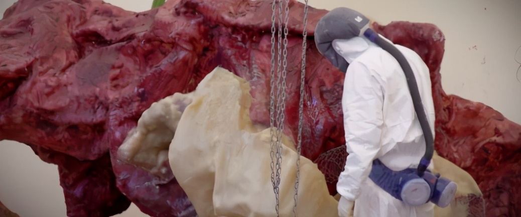 海口海边的驿站,海口海边驿站