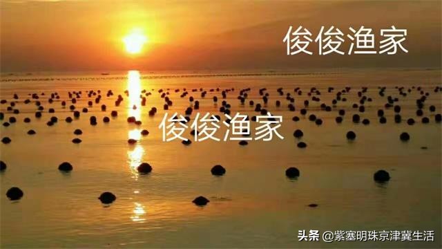 海边度假愉快的周末时光,大钦岛观海渔家