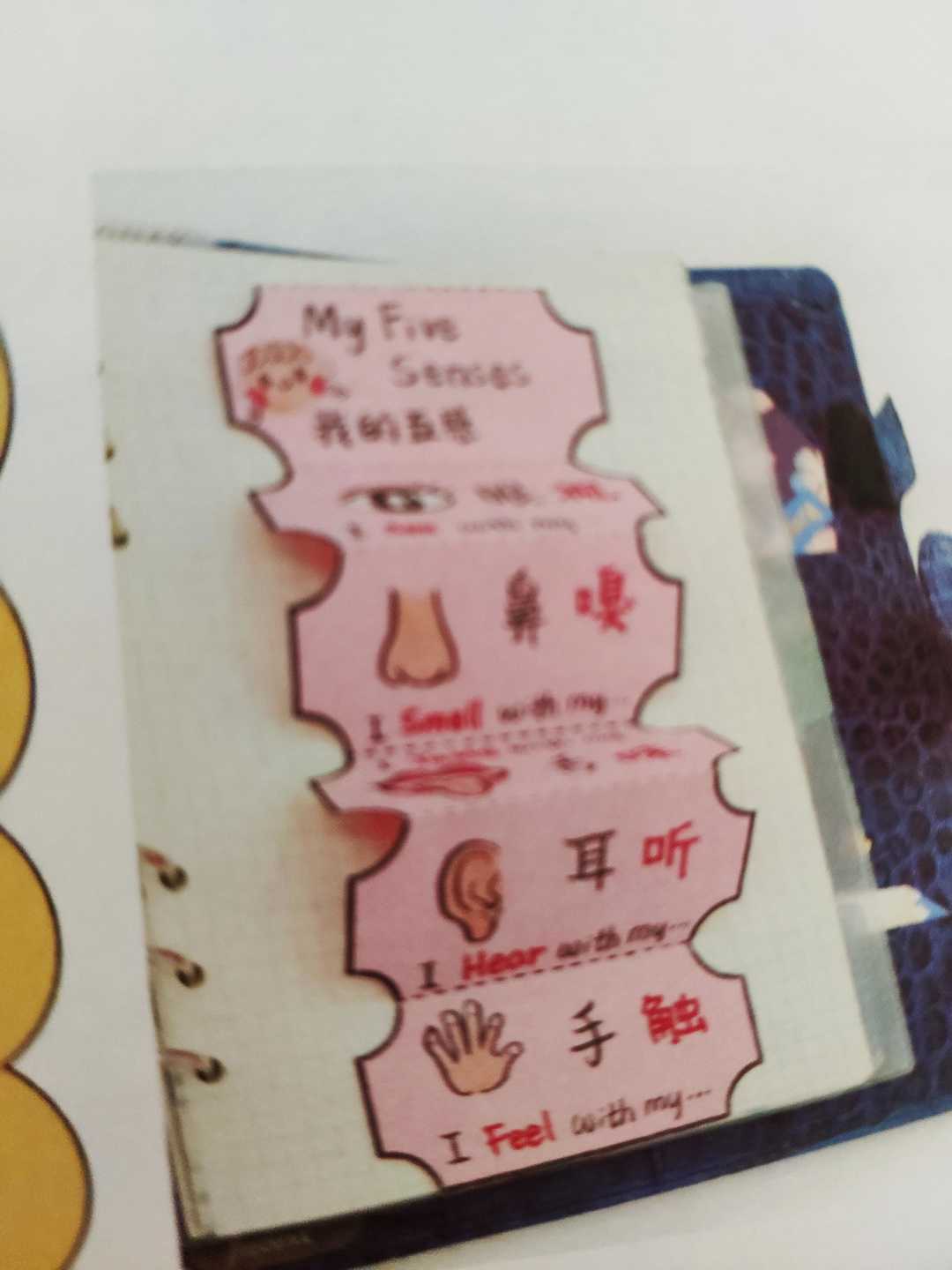 1分钟就能学会的小手工,100个小手工又简单又难学