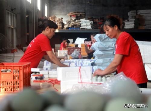 适合农村做的项目投资少见效快,农村适合做哪些创业小项目