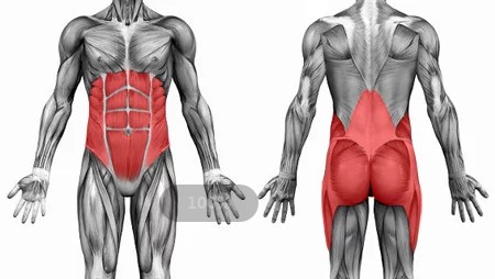 竖脊肌锻炼山羊挺身动作图解,练背前山羊挺身