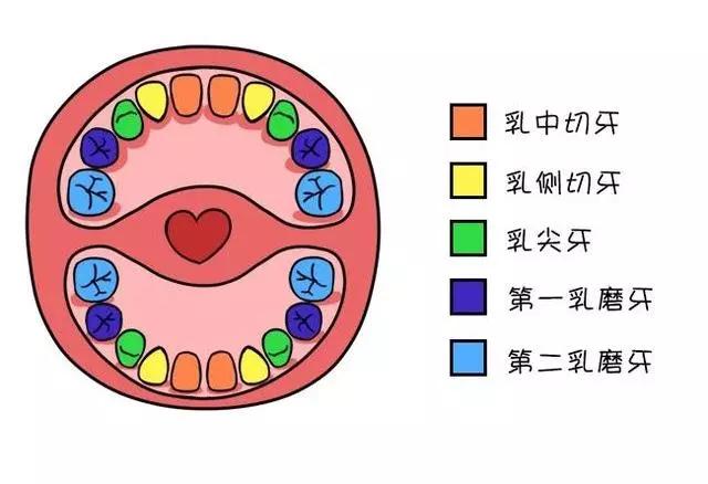 为什么现在的小孩子容易长蛀牙,经常吃糖的小孩蛀牙会成什么样