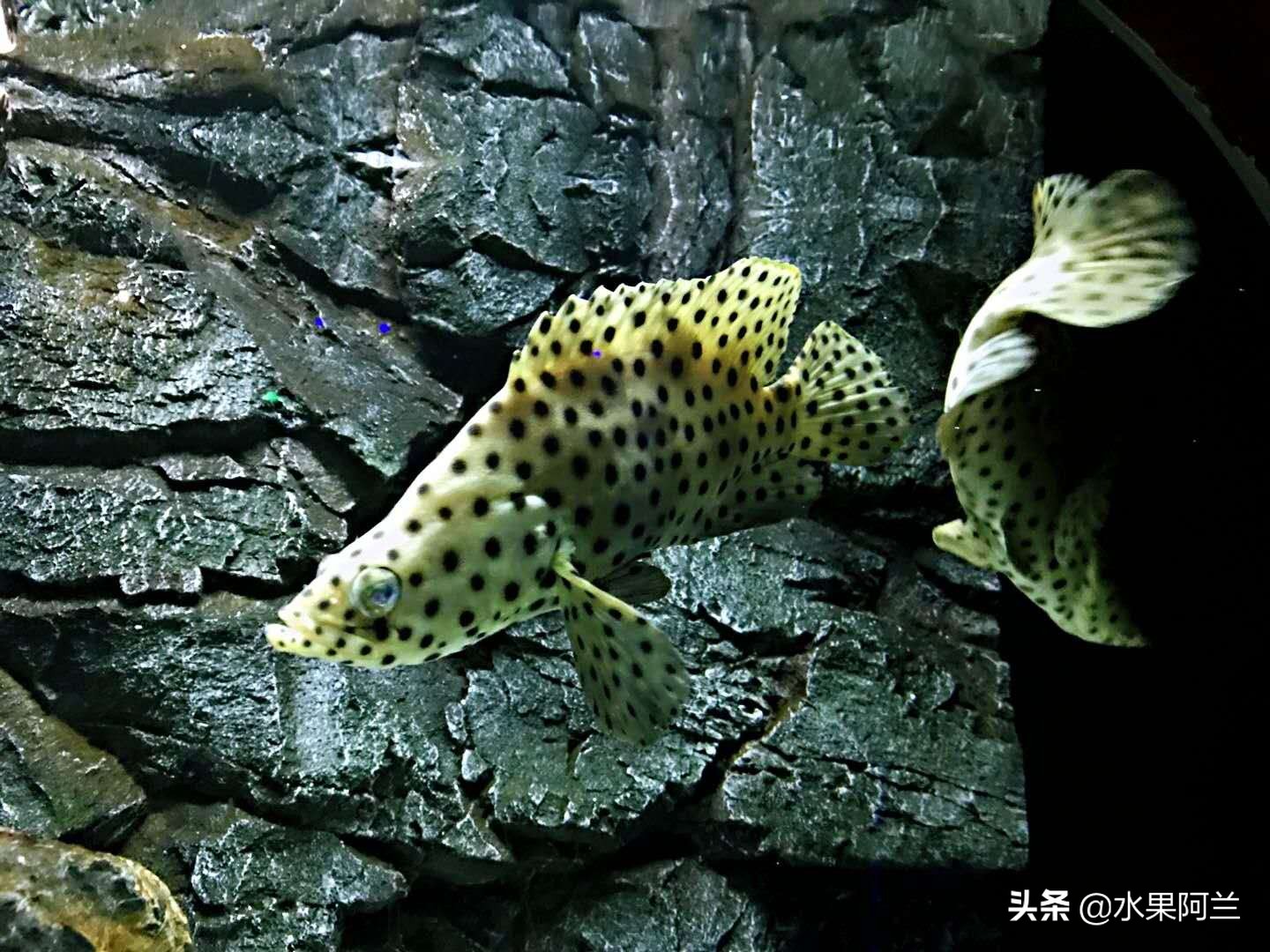 大连旅游团4天三晚,大连4天3晚跟团自由行