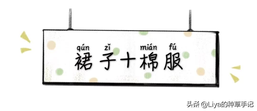半裙+外套，连衣裙+外套=今春王炸组合