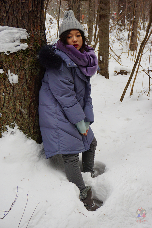 冬季旅游好去处排行榜不看雪,林海雪原旅游景区