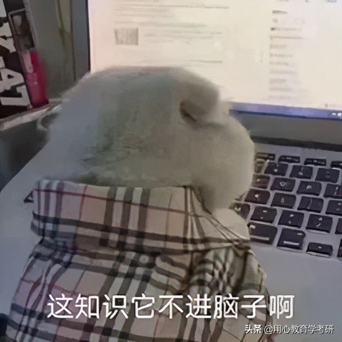 用心教育学考研|复习中途，考研看不进书怎么办？