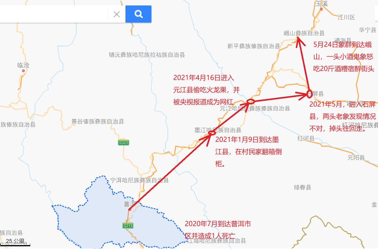 云南象群迁徙损失,云南象群迁徙事故