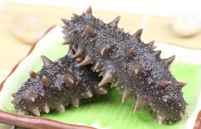 红海参比刺海参便宜,便宜海参叫什么参