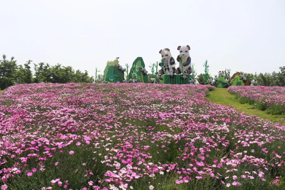 5.17遇见Ta在一起|这里有个不一样的脱单机会，速来~