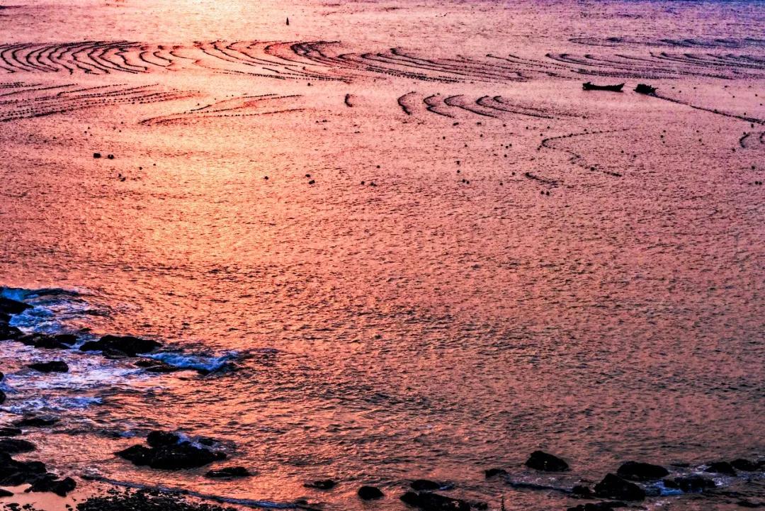 旅游三亚和厦门哪个更值得去,三亚和厦门哪个更值得去三亚旅游