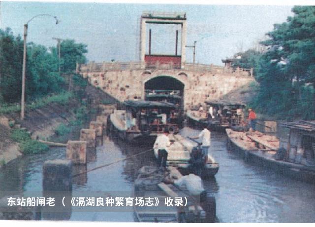 常州西太湖变迁,常州西太湖和滆湖公园有什么区别