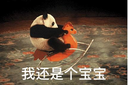 大抓产业大抓项目大抓招商,大抓工业重抓制造业