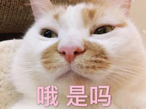看完2019年新生儿爆款名字榜单，我觉得叫「王者荣耀」也挺好的