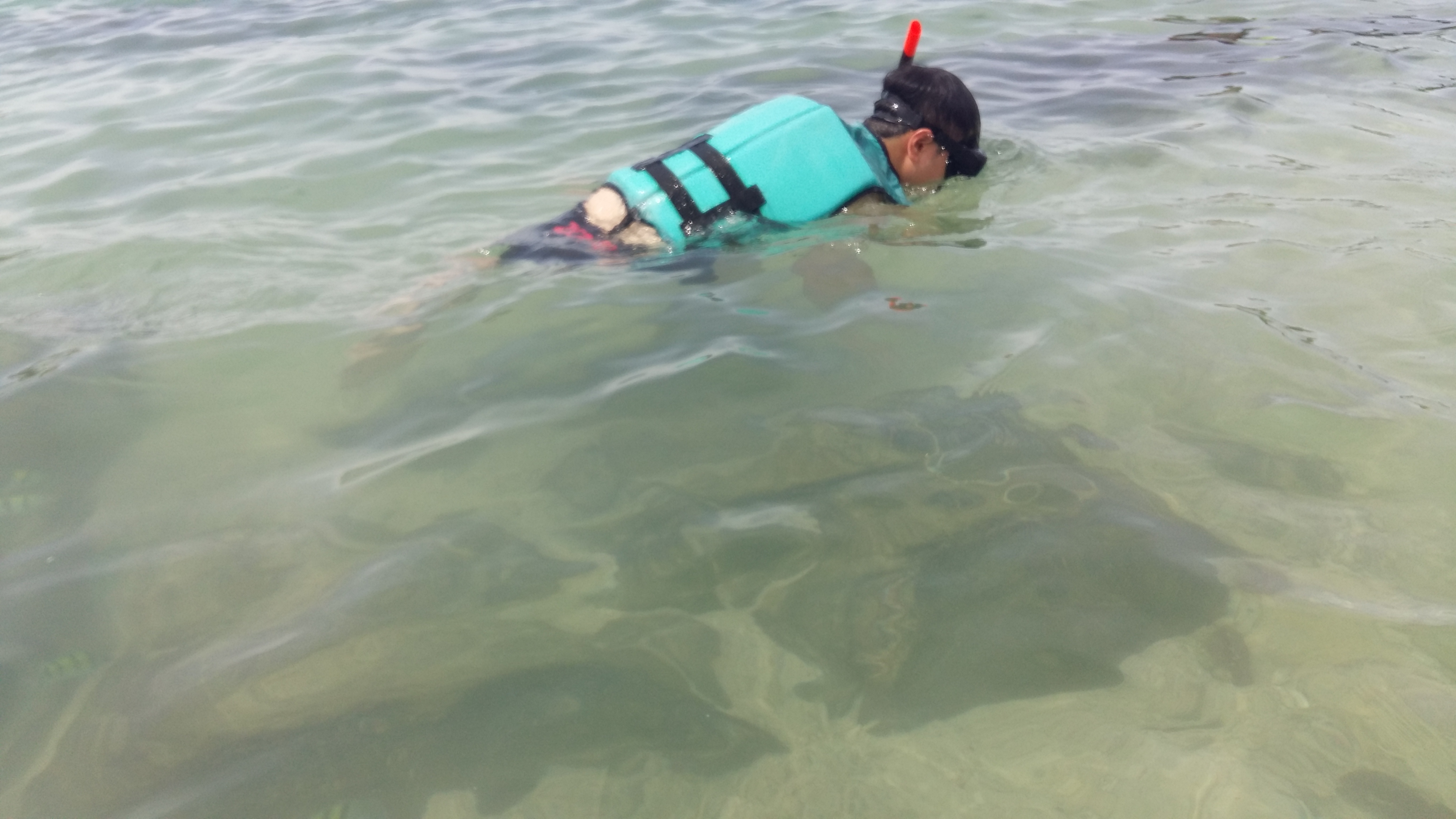 泰国普吉岛旅游攻略小视频,泰国普吉岛自由行旅游最新攻略