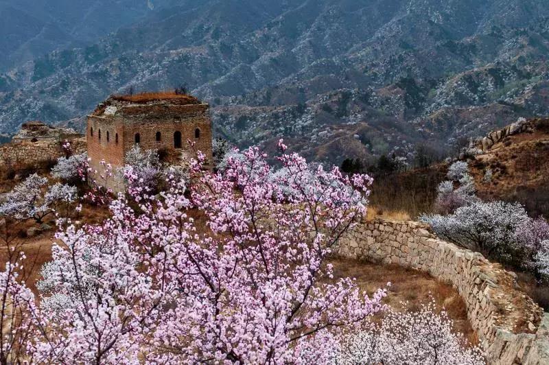 万里长城位于哪个地方,万里长城在哪省哪市哪县