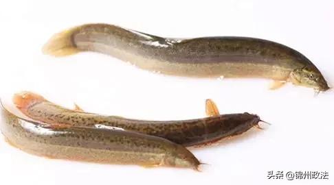 辽宁中国特色农产品优势区名单,辽宁特色农产品品牌有哪些