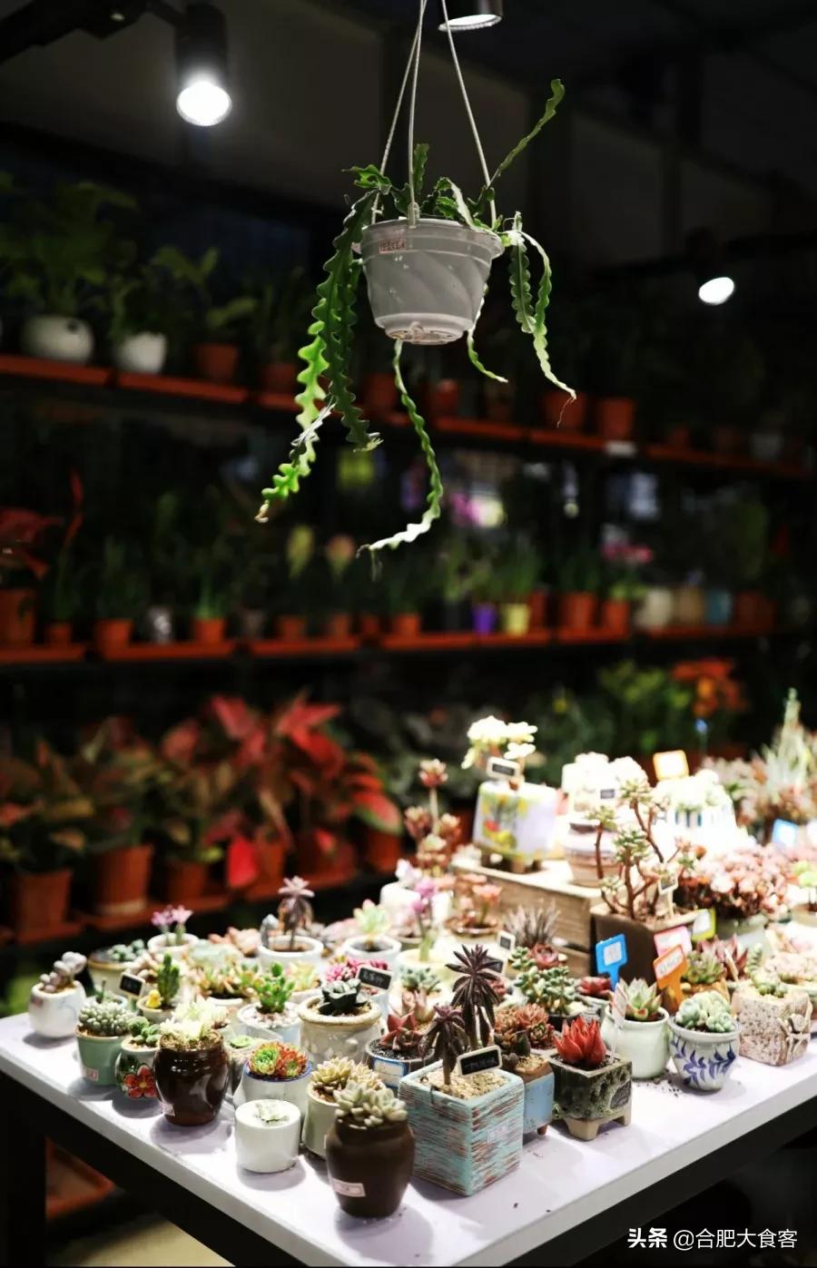 <html>
<head><title>502BadGateway</title></head>
<body>
<center><h1>502BadGateway</h1></center>
<hr><center>nginx</center>
</body>
</html>
<!--apaddingtodisableMSIEandChromefriendlyerrorpage-->
<!--apaddingtodisableMSIEandChromefriendlyerrorpage-->
<!--apaddingtodisableMSIEandChromefriendlyerrorpage-->
<!--apaddingtodisableMSIEandChromefriendlyerrorpage-->
<!--apaddingtodisableMSIEandChromefriendlyerrorpage-->
<!--apaddingtodisableMSIEandChromefriendlyerrorpage-->
