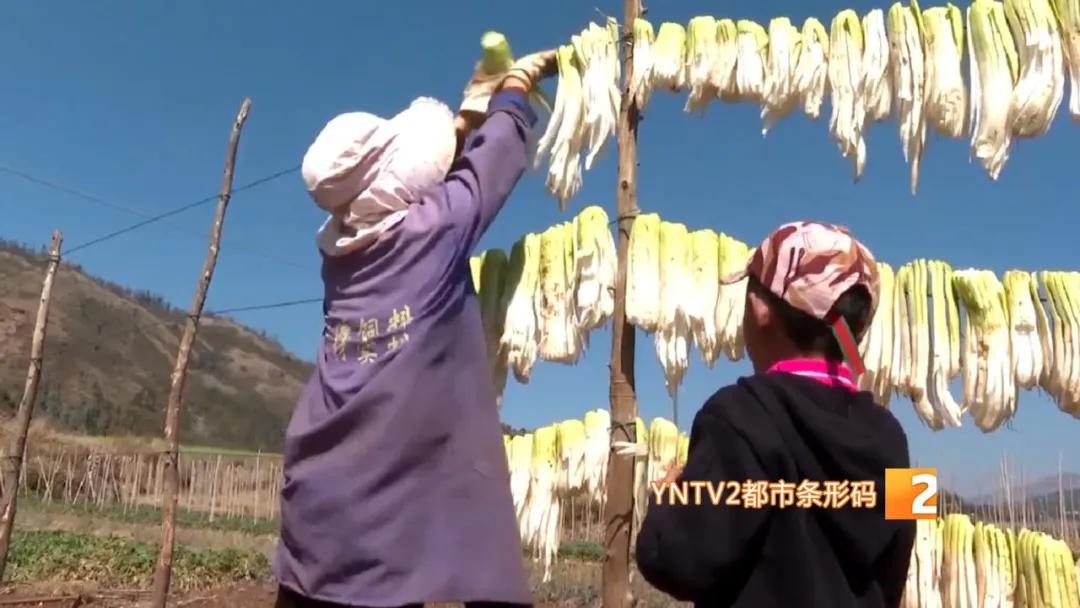 香椿萝卜条,香椿芽蒜薹