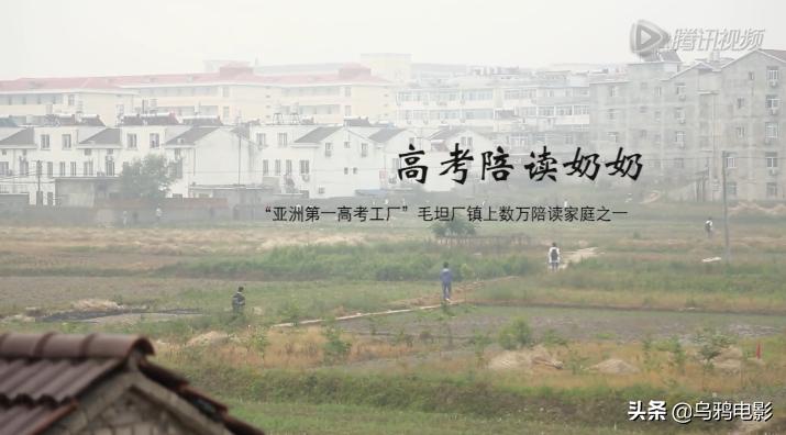 无差评小说推荐,无词条伤害最高的一套