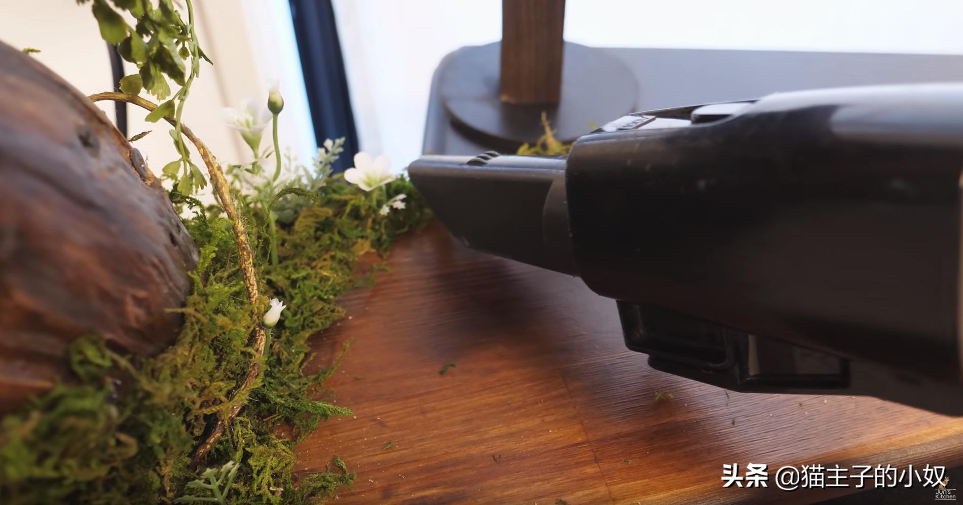 diy猫爬架大约需要什么材料,diy猫爬架材料清单