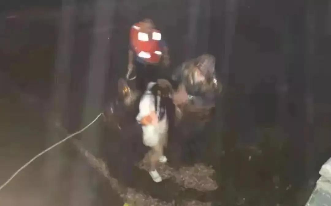 高素质东莞义警⑦|“义警”林伟庭：用心描绘美景中的“警”色