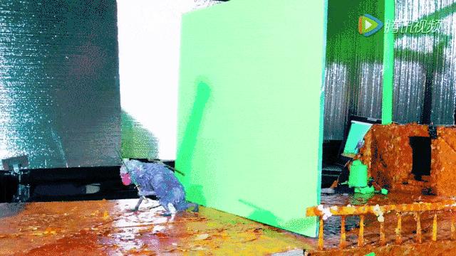 大黄蜂中国票房,大黄蜂电影票房