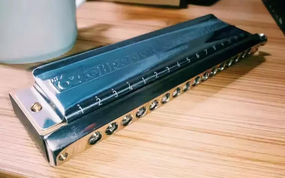 半音阶口琴和十孔口琴哪个更难学,新手学口琴入门零基础教程