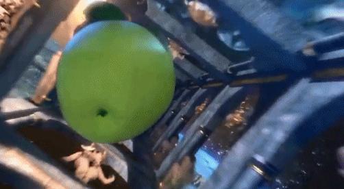 张靓颖搞笑mv视频,张靓颖模仿名画