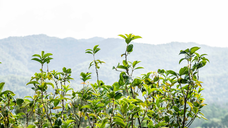 中国足球旅游胜地,足球旅游胜地上海