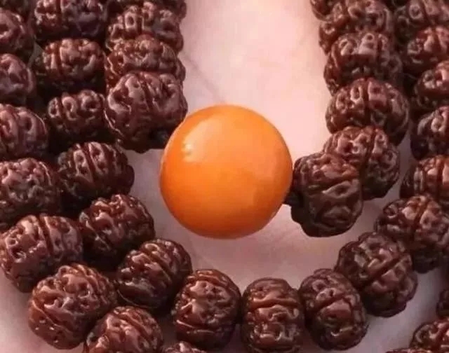 机刷金刚菩提还能盘吗,金刚菩提的刷盘方法