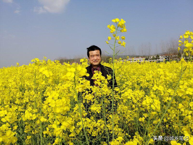 田翔｜报告文学：挺身而出的农行人