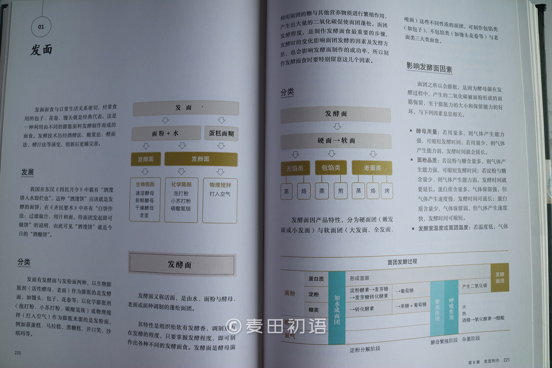 新手刚学烘焙做哪几种好,零基础学烘焙书推荐