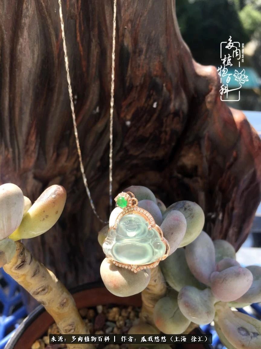 享受岁月,享受岁月静好歌曲原唱