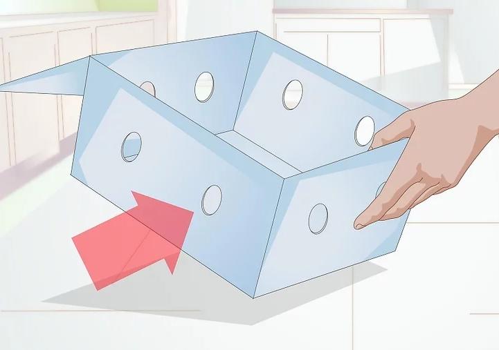 猫咪受伤怎么救助路边,猫咪受伤怎么治疗