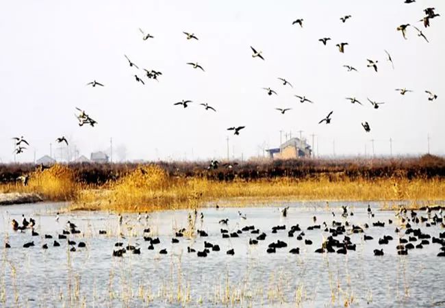 渭南大荔哪里好玩的地方,渭南大荔周边环境优美的地方