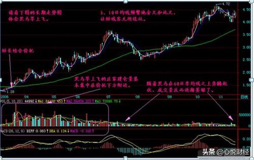 中国股市强势选股指标大全,中国股市比较厉害的散户