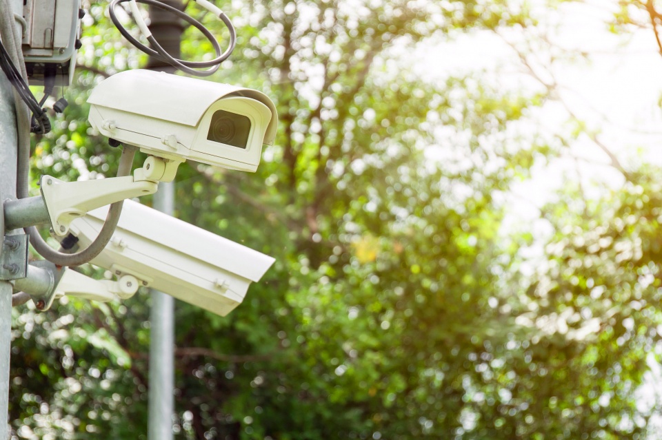 农村投资几万块做什么小生意好,在乡下投资什么最有前景