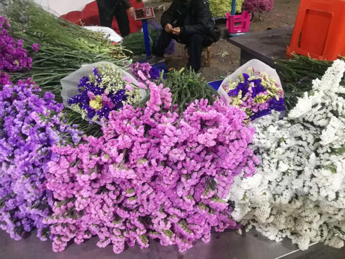 农村农民没有资金有什么好项目 (农村地摊市场空白新型项目)