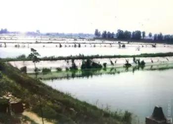 改革开放40年｜那一年，灞桥正在发生改变