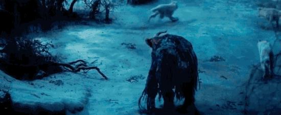 狗狗可能只是你生命中的一部分,狗狗被驯化的过程