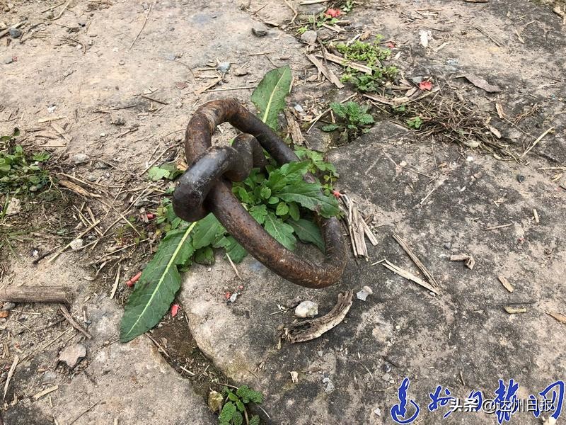 渡市老街曾经的模样,渡市老街