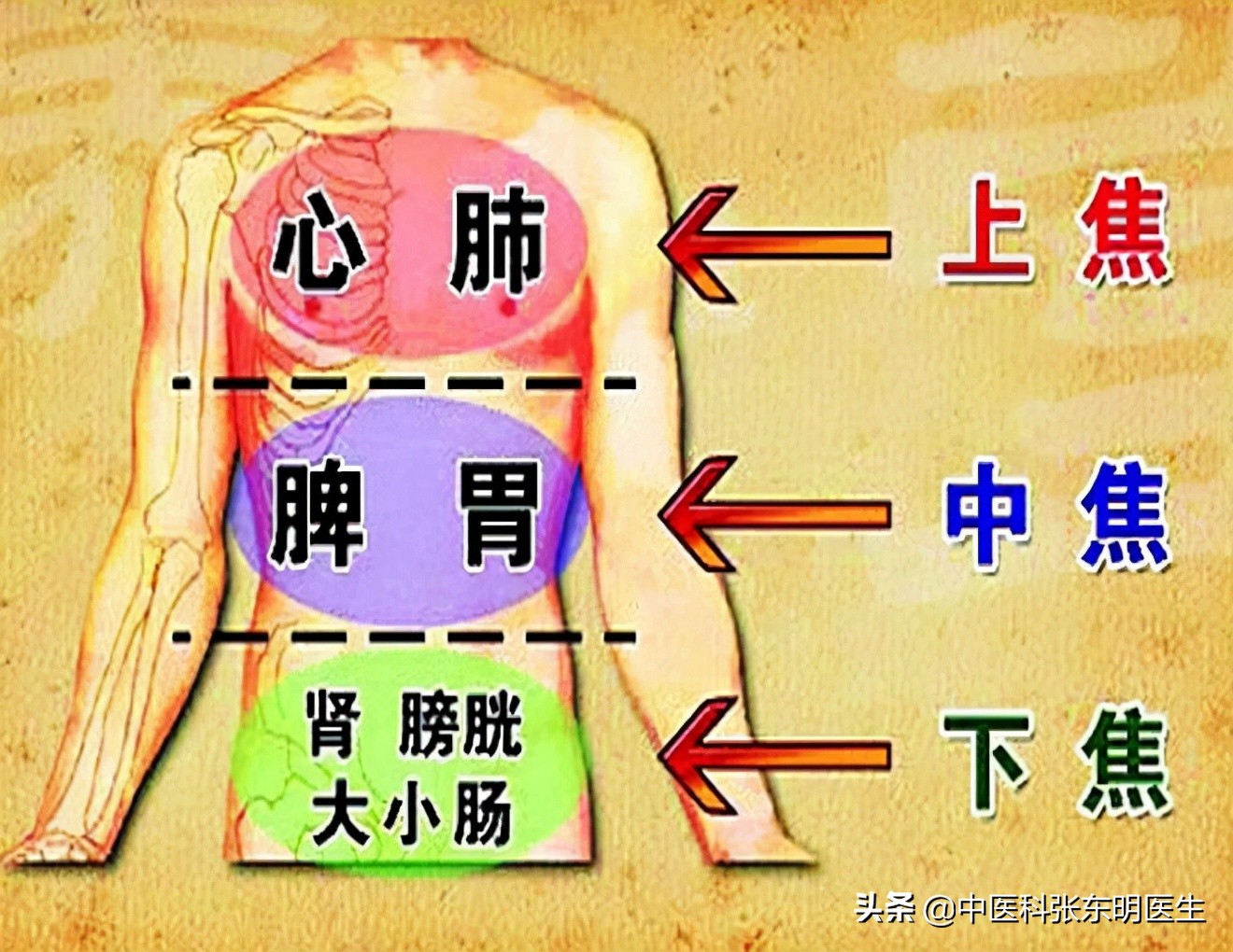 上热下寒中焦不足偏方,上热下寒中焦堵用什么方剂