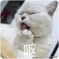 蹲便好还是马桶好介绍,是蹲厕更方便还是马桶更方便